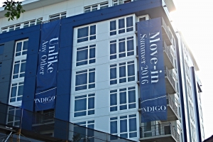 CIMG0022