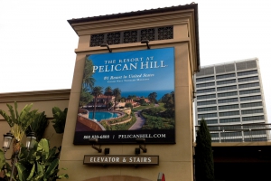 Fi-Pelicanhill_new