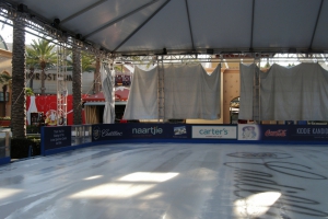 Ice+Rinks_new